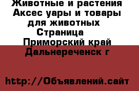 Животные и растения Аксесcуары и товары для животных - Страница 2 . Приморский край,Дальнереченск г.